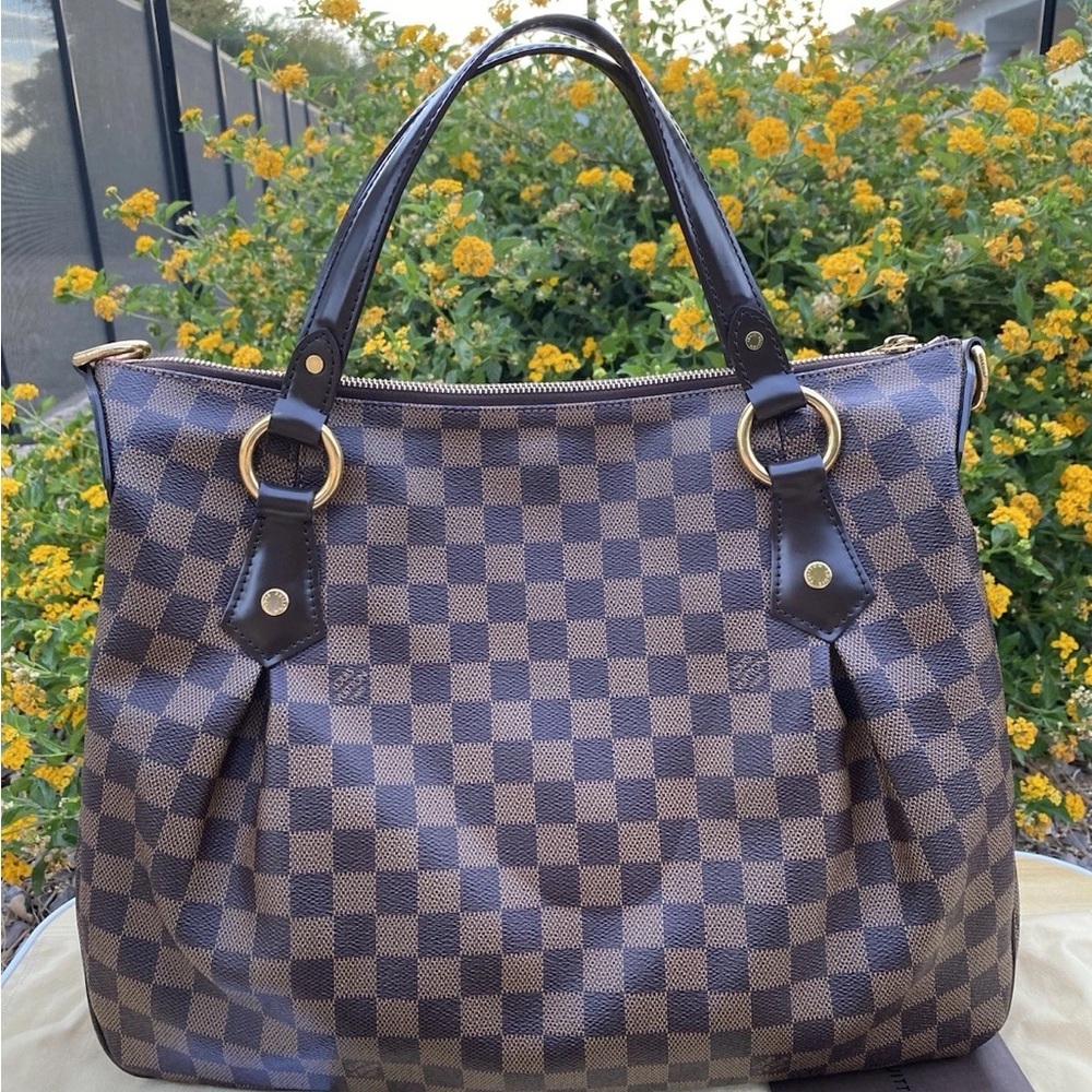 Louis Vuitton Brown and Black Hobo with Damier Ebene Canvas - Picture 9 of 12
